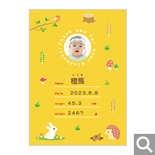 出産内祝用オリジナル化粧箱【K-SBO】